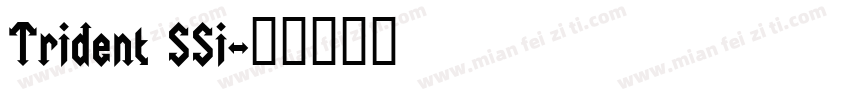 Trident SSi字体转换